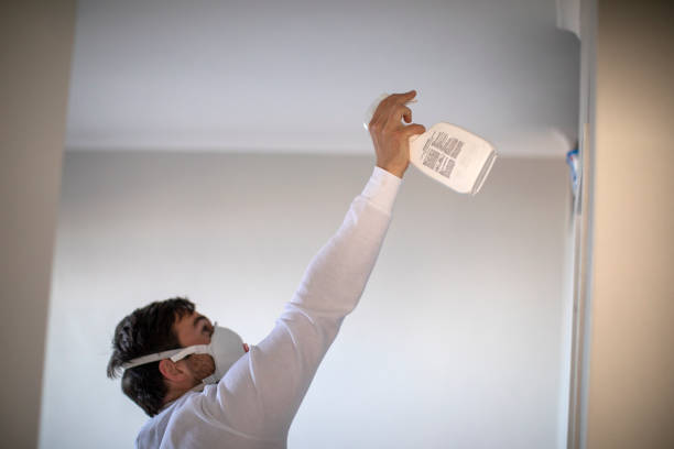 Best Emergency Mold Removal  in Jericho, NY